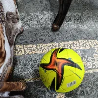 توپ فوتبال