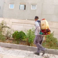 تمامی کار هایی باغبانی و سم پاشی در مشهد