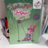 هوش مالتیپل پنجم درحدنو سال ۱۴۰۴