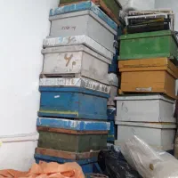 کندو خالی زنبور عسل