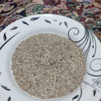 بذر کاهو روغنی|خدمات باغبانی و درختکاری|خان ببین, |دیوار