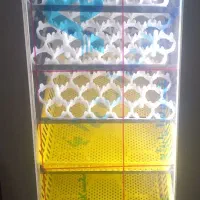 دستگاه جوجه کشی مشگین شهر عبدللهی