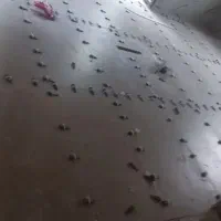 اجرا تمامی کار ساختمانی|خدمات پیشه و مهارت|چمستان, |دیوار