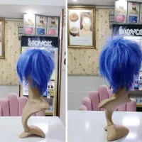 کلاه گیس زنانه رنگ فانتزی و رنگ طبیعی|آرایشی، بهداشتی، درمانی|شیراز, فرگاز|دیوار