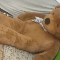 خرس عروسکی|اسباببازی|تهران, الهیه|دیوار