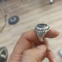 شجر تک درخت|بدلیجات|سقز, |دیوار