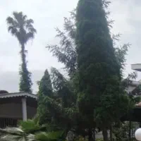 زمین۷۰۰متری برج سازی متلقو(سلمانشهر)