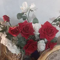 گل رز وارداتی