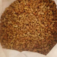 توت خشک|خوردنی و آشامیدنی|مریوان, |دیوار