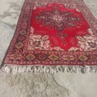 فرش ماشینی تمام فرش ۱۲ متری و فرش ۶ متری دست بافت|فرش|شاهین دژ, |دیوار