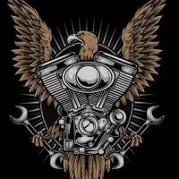 مکانیک سیارتنظیم موتور.روشن کردن ماشین خاموش درمحل