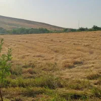 فروش-زمین-کشاورزی