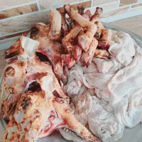 کله پاچه آماده