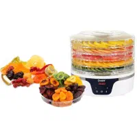 میوه /سبزی خشک کن دیجیتالی دسینی مدل ۲۰۰۰