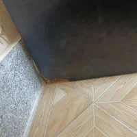 میز|بوفه، ویترین، کنسول|مشهد, کوشش|دیوار