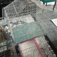 قفس پرنده|لوازم جانبی حیوانات|پاکدشت, حصار امیر|دیوار