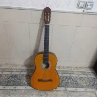 گیتارنونو|گیتار، بیس، امپلیفایر|کاشان, کارگر|دیوار