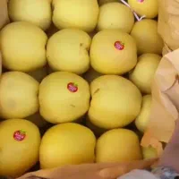 خرید سیب روی درخت