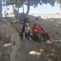 یک جفت توله قدرجونی