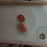 سنگ عقیق|جواهرات|آبیک, |دیوار