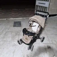 کالسکه دلیجان سالم