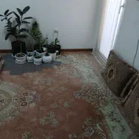 فرش ۱۲ متری|فرش|بندرعباس, |دیوار