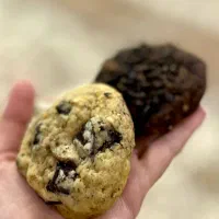 کیک و کوکی کافه قنادی|خوردنی و آشامیدنی|اردکان, |دیوار