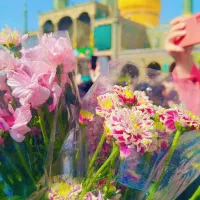 پیداشده