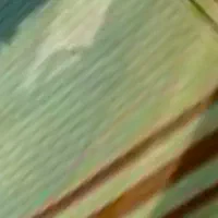 یک-دهنه-تجاری-به-متراژ-12مترمربع