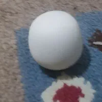 سنگ|کلکسیون اشیاء عتیقه|شیراز, سعدیه شمالی|دیوار