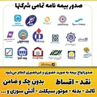 صدور انواع بیمه  شخص ثالث. بدنه. نقدواقساط بدون چک