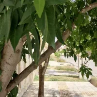 خانه-فروشی