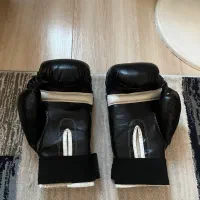 دست کش کیک بوکس و موی تای|تجهیزات ورزشی|ساری, |دیوار