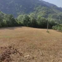 فروش زمین باغی در ریگ چشمه|فروش زمین و ملک کلنگی|مینودشت, |دیوار