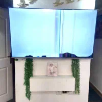 ال ای دی ۵۰اسنوا