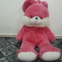 دوعدد خرس شاسی