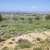 زمین-قره-چمن-کودیان-باغی