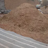 کاه جارو
