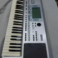 ارگ گرگ p50تبدیل به80سالم سلامت