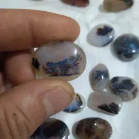 سنگ های شجر قاین منظرهای بینظیرگل واضع