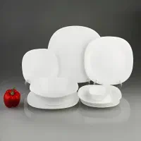 آرکوپال گلدن اوپال|ظروف سرو و پذیرایی|قم, باغ شریفی|دیوار