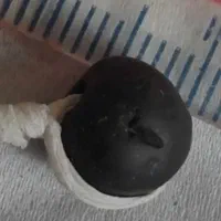 سرکتاب.ص