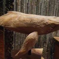 مجسمه نهنگ از چوب گردو کار استادکار اصفهانی|مجسمه، تندیس، ماکت|قزوین, |دیوار