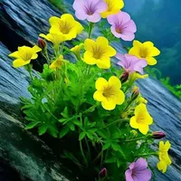 تدریس خصوصی پایه اول تا پایه ششم ابتدایی