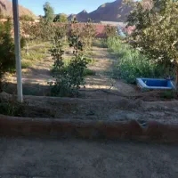 2500 متر باغ در جاده زندان - مبارکه|فروش خانه و ویلا|ابریشم, |دیوار