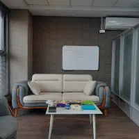 دستیار مدیرعامل