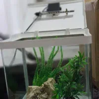 آکواریوم دلسا k320|ماهی|شیراز, مسکن مهر شیراز|دیوار