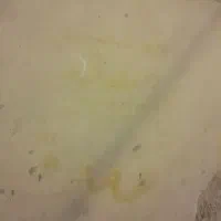 سرایدار پیرزن