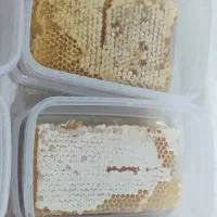 شهد و عسل طبیعی کردستان ارگانیک و دارویی|خوردنی و آشامیدنی|تهران, فرمانیه|دیوار