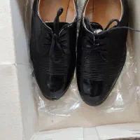 کفش|کیف، کفش، کمربند|بندر کنگان, |دیوار